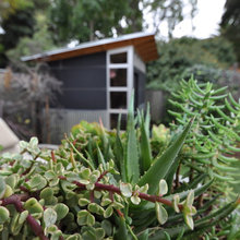 Rob's new shed