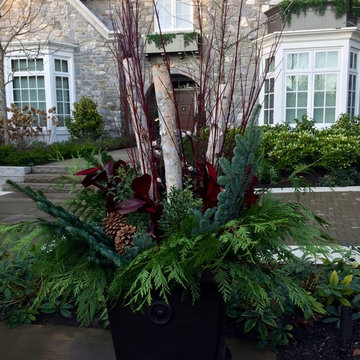 Welcoming Winter