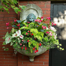 contAiner garden