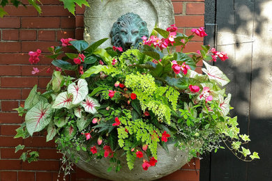 Summer Containers