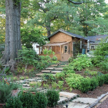 travis_rummel's greenhouse