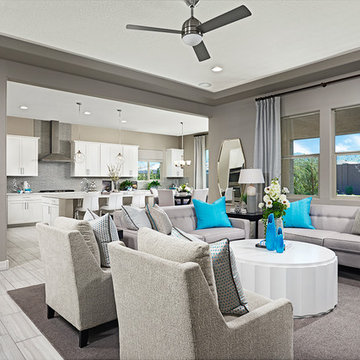 Dominic model home in Arizona