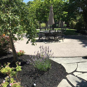 South Petaluma Front and Backyard
