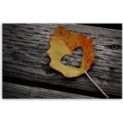 Foto von Autumn Wind