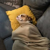 Kristy Bezz's photo