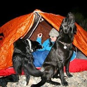 Meaghan Ogilvie's photo