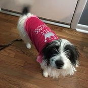 Foto von Dottie Trahan