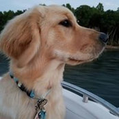 Stephanie Hedrick's photo