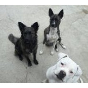Shannon Talbot's photo