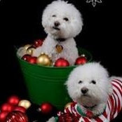 Douglas Losey's photo