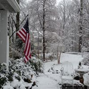 Peter Zlupko's photo