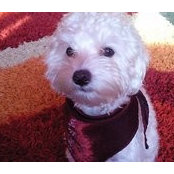 Foto von Princess Bijou