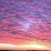 Daniel Ogren's photo