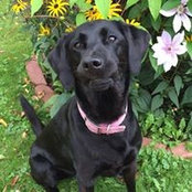 Sarah Squires's photo