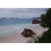 Virginie Serot's photo
