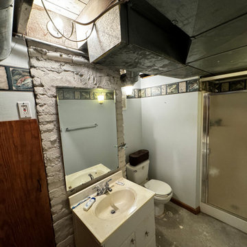Basement Remodel