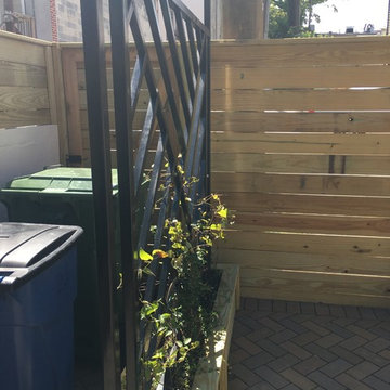 Baltimore Backyard
