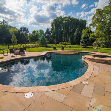 Freeform Pool in Libertyville, IL