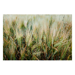 Douglas Page Photographic Arts - Jc Wheat Cu,  Canvas Giclee, 24"x16" - Prints And Posters