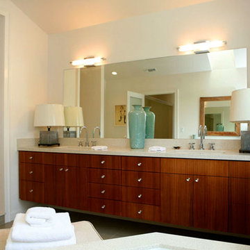 Glyndon Residence- Master Bathroom