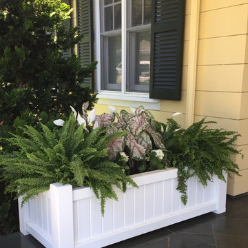 Planters & WIndow Boxes