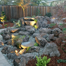 Fire pit Area