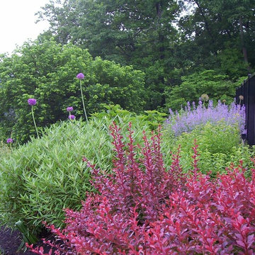Plantings