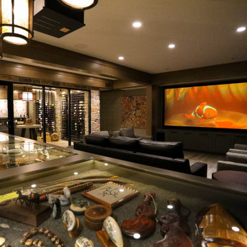 Theater Room