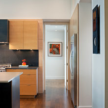 CABINET COLOR