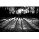 Pi Photography Wall Art and Fine Art - Country Wall Art: Winter Shadows Black & White Landscape Unframed Print, 24" X 36" - Winter Shadows Black and White - Rural / Country Style / Rustic / Landscape / Nature Photograph Loose / Unframed Wall Art Print - Artwork