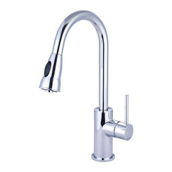 2MT250 at The Brady - Kitchen Faucets