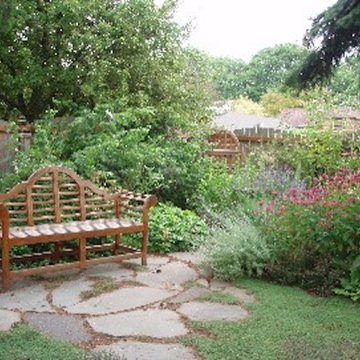 Woodland Garden