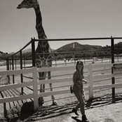 Aide Rodriguez's photo