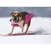 Ron Davis's photo