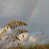 Sharon Hatcher's photo