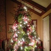 Deborah Coats's photo