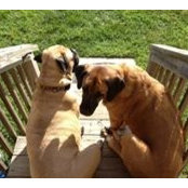 Sherry Lubonski's photo