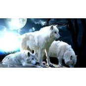 Christy Russell's photo
