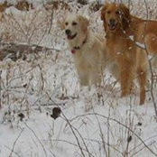 BillandNancy McDaniel's photo