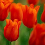 Eidda Hisham's photo