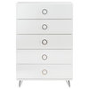 Benzara BM184764 Five Drawers Wooden Chest, Style, White