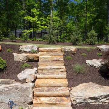 Backyard Transformation