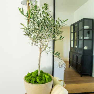 Dana Point Costal Contemporary