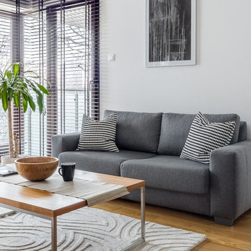 Contemporary Stylish living room, Redmond, WA