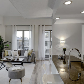 Old Montreal Penthouse