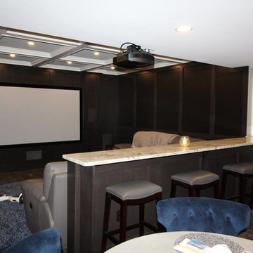 Finished Basement - Island Lakes, Novi Traditional