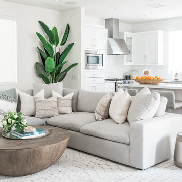 Beach Style Living Room