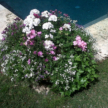 Seasonal Color