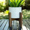 5.5" Beehive Ceramic Planter On Wood Stand,Cream