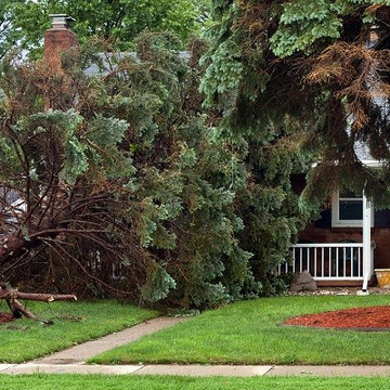 Disaster Alert: How to Keep Your Home Safe in Storm Season